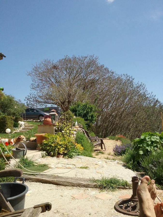 Le Petit Fabre Montagnac (Alpes-de-Haute-Provence) Exterior foto