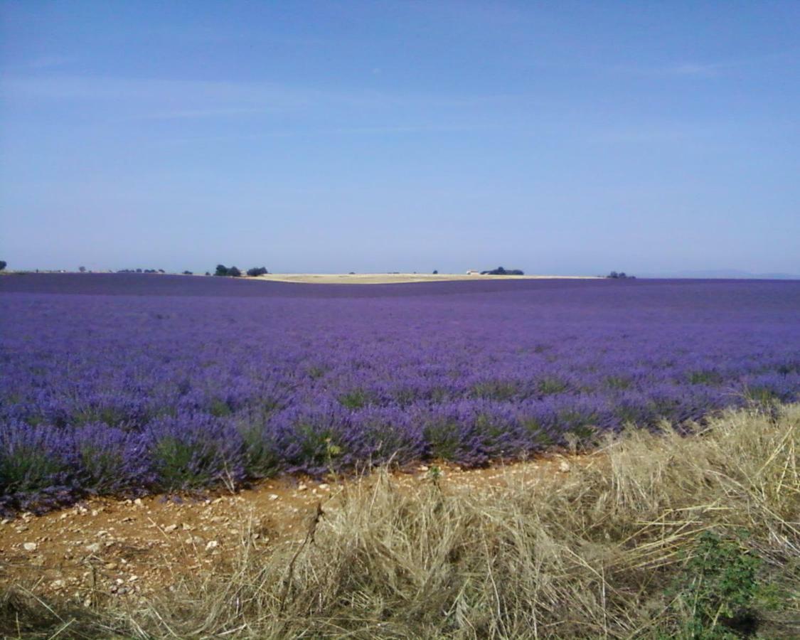 Le Petit Fabre Montagnac (Alpes-de-Haute-Provence) Exterior foto
