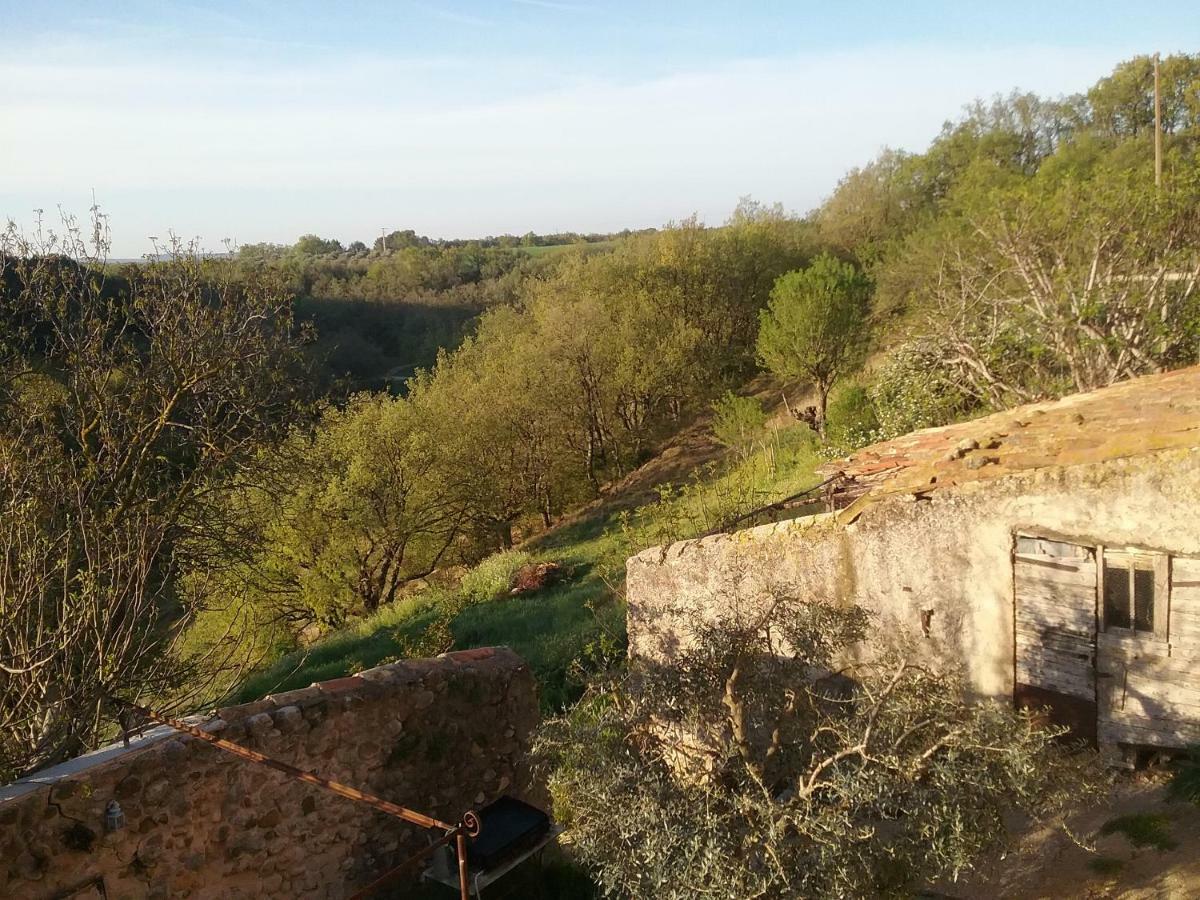 Le Petit Fabre Montagnac (Alpes-de-Haute-Provence) Exterior foto